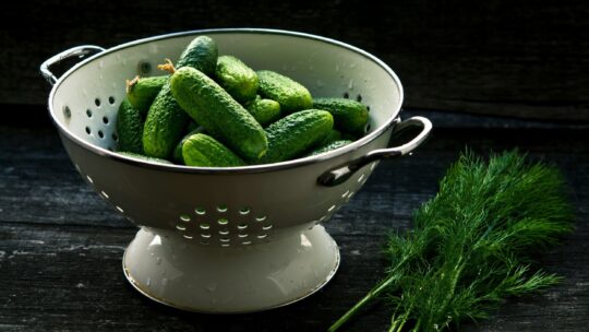 Малосольні огірки