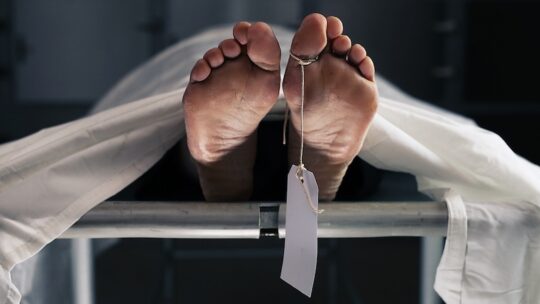 патологоанатом