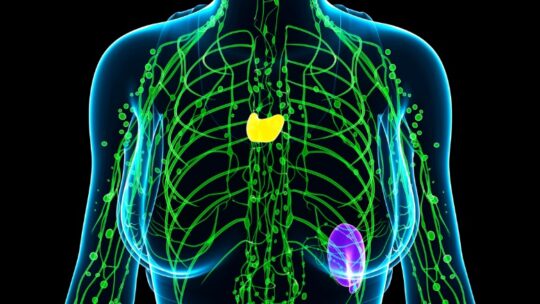 Очищення лімфи