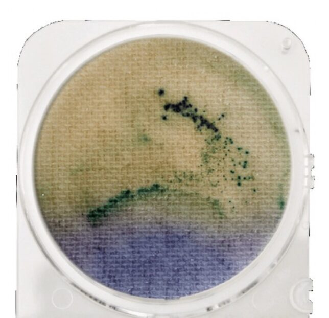 Среда микробиологическая