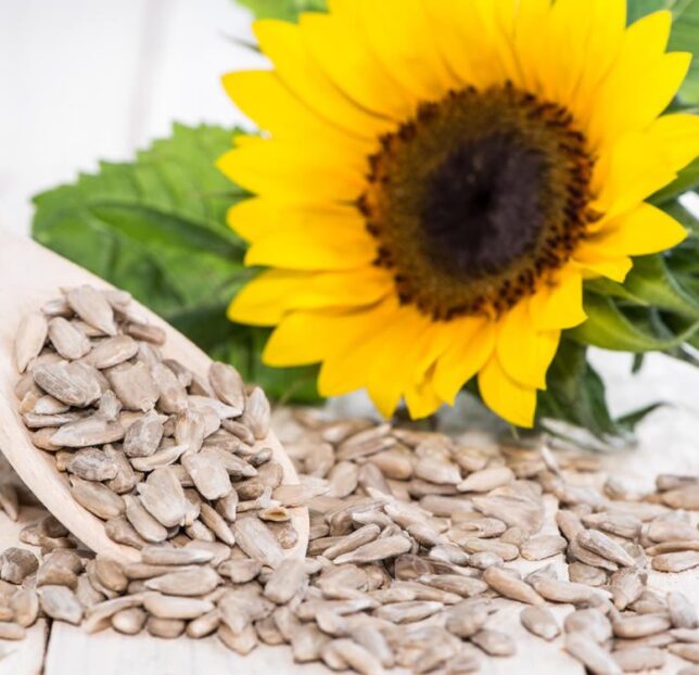 Основные методы контроля белка в семенах подсолнечника