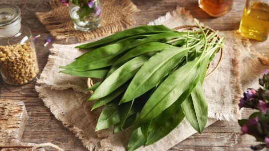 Черемша на кухні: смачні рецепти