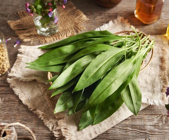 Черемша на кухні: смачні рецепти