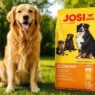 Josera корм для собак: Ваш идеальный выбор для здоровья и счастья любимца